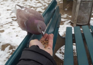 smar-t-kriegt-was-will