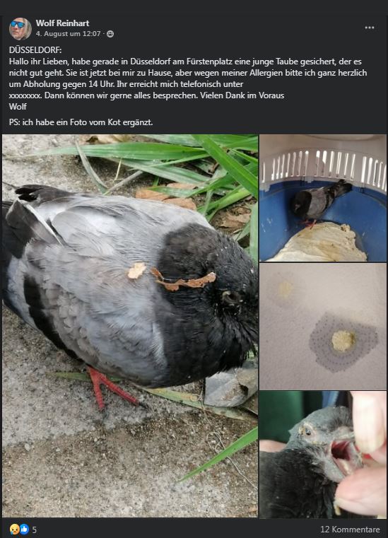 Post zu einem Taubennotall in Facebook